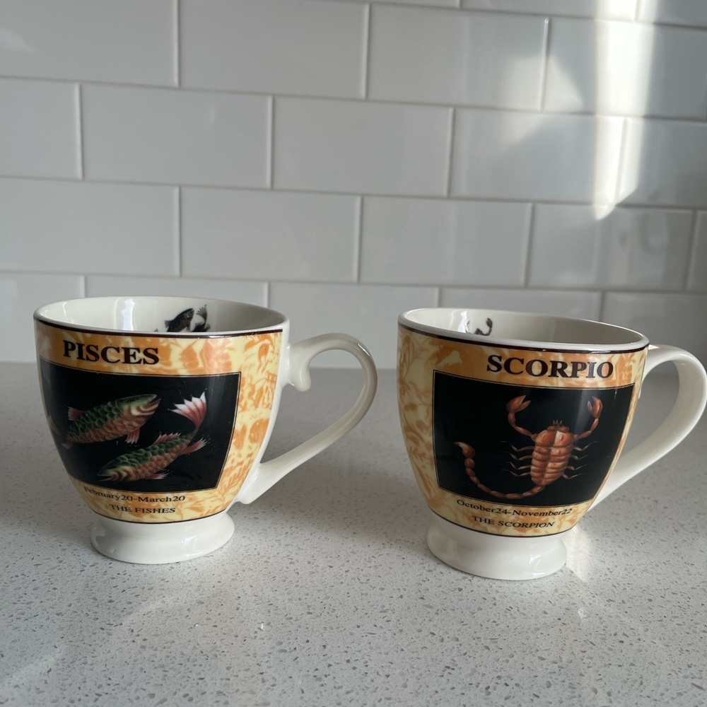 Zodiac Sign Mugs/Astrology Mugs/Scorpio Coffee Cup/Pisces Coffee Cup/Valentines